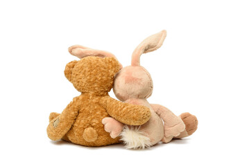 brown teddy bear and cute rabbit sit on white isolated background