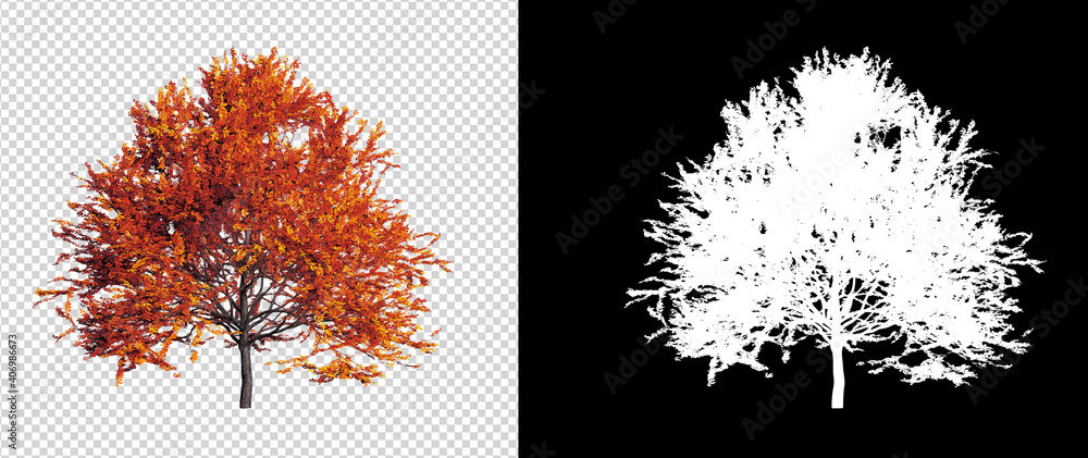 Poster autumn season tree on transparent background with clippings path