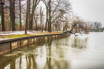 A day after snow the greatest day to visit herastrau park