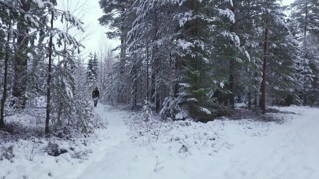 man walking on a hiking trail in a snow covered woodland
