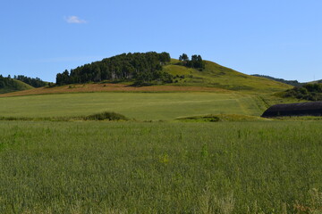 Fototapeta premium field and blue sky