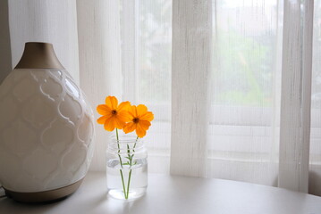 Orange flowers on the table near window.