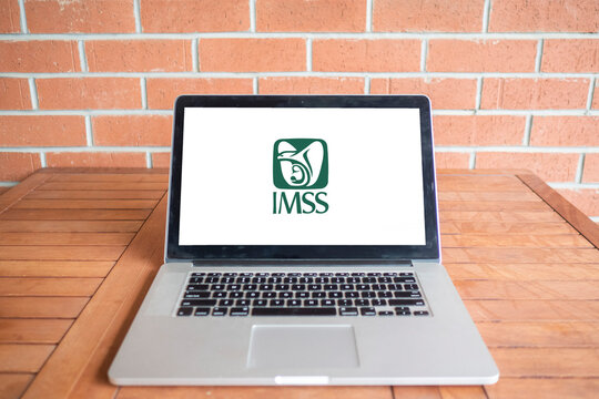 IMSS logo editorial illustrative