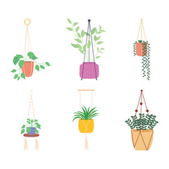 decorative hanger plants icon set, colorful design
