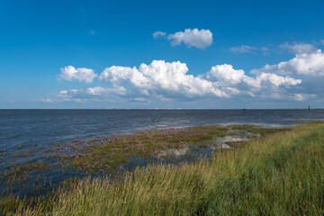 Landscape at the mouth of the Weser by Fedderwardersiel