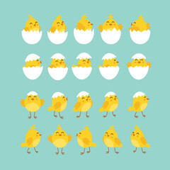 Cute cartoon chicken set. Funny yellow chickens in different poses, vector illustration