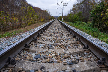 Train railroad track . View through forest to the horizon