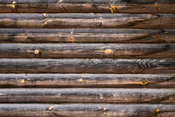 Wood texture of round boards. Natural wood background texture.