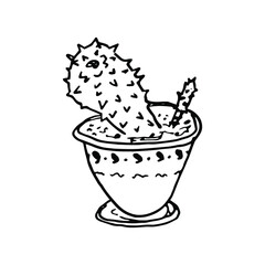 Flower in a pot. Single element. Garden plant, cactus, succulent. Home flowers. Hand-drawn. Doodle, sketch, icon. Vector illustration for seasonal design, prints. On white background.