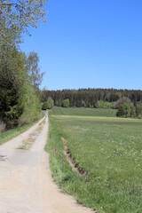 Fototapeta na wymiar Feldweg im Frühling bei Sonne Wiese Wiesen Flure Felder Fichtelgebirge Franken