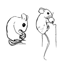 Mouse ink illustrations set. House and farm animals sketches collection. Nature wildlife monochrome artworks group. Vector drawings. 