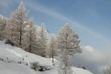Winter Landscape in Switzerland