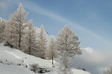 Winter Landscape in Switzerland