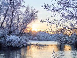 Fototapeta premium Snowy river bank. Winter sunset of the frozen forest and a river, frozen vegetation