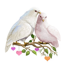St. Valentines day holiday greeting card with couple of doves sitting on branch with doves and leaves. Digital art illustration of postcard on February 14, pigeon birds symbol of love isolated.