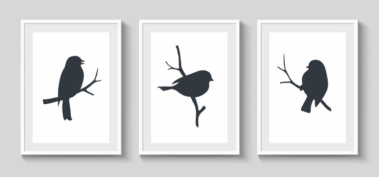 Set of white frames with shadow on gray wall for interior design. Collection of decorative bird silhouette on twig. Vector stock illustration.