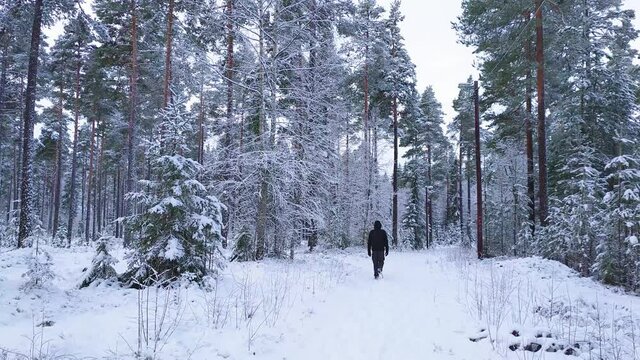 man walking away on a hiking trail in a snow covered woodland