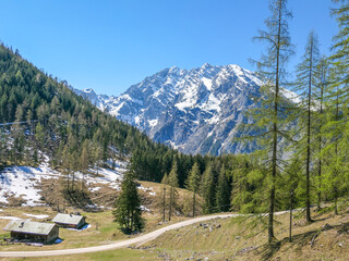 Almen in  den Berchtesgadener Alpen