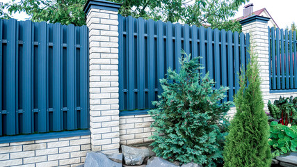 Texture of profiled metal. Metal fence. urban landscaping, beautiful thuja occidentalis on the background of a modern fence made of metal profile.