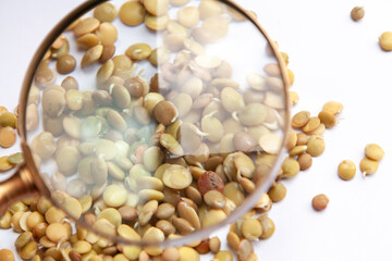 Lentil seeds under magnifying glass