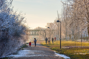 Families walking and keeping social distance because of the pandemic in the green area of the city in winter at sunset.