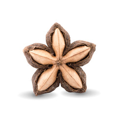 Star Bean Inca isolate on a white background