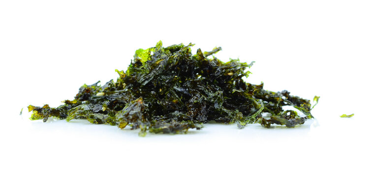 Japanese food nori dry seaweed or edible seaweed on white