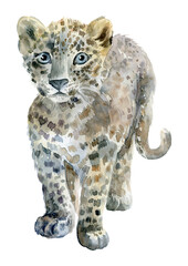 Hand painted watercolor baby wild cat Leopard