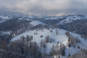 Winter landscape of the frosty forest in the Carpathian Mountains