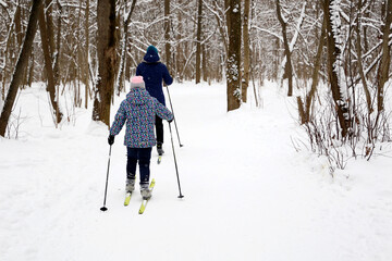 People skiing, family leisure outdoors. Woman and child skiers walking in the snow in the winter forest, rear view