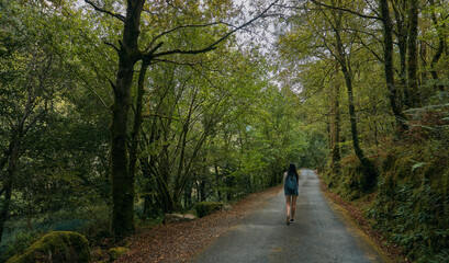 Obraz premium Young woman walking on a path surrounded by forest in summer. Galicia in summer. Santiago's road
