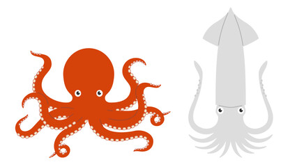 タコとイカのセット