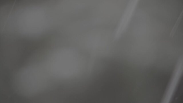 Fichte Ast Schneefall_4K_SLog3_008