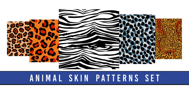 set of animal print vector patterns