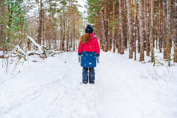 Fototapeta na wymiar Rear view of a little girl in a red jacket standing in the middle of a path in a winter pine forest