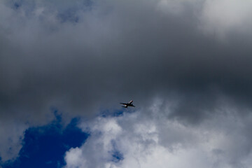 Portrait of Airplane flying in the sky with cloud