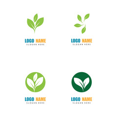 Set Set Logos of green Tree leaf ecology nature element vector