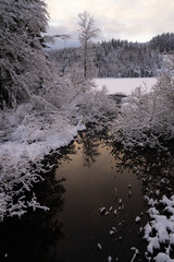 Winter landscape in Nordmarka outside Oslo / Norway