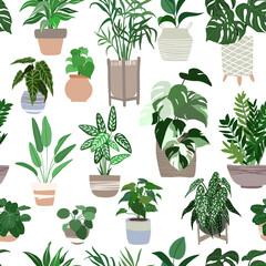 Indoor plants seamless pattern, hand drawn flat © nurofina