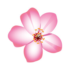 beauty pink flower nature icon