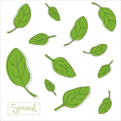 Spinach leaves of different shapes and sizes with an inscription. Seamless pattern. The concept of healthy eating. Detox, salads, smoothies. Vector illustration on an isolated background