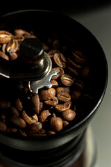 dark roasted coffee beans in a grinder with morning light