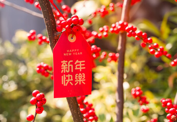 Lucky knot hanging on flower for Chinese new year greeting,Chinese character means happy new year
