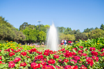 Naklejka premium Beautiful scenic view of flowers with fountain background. Landscape nature. Concept of nature and relaxation.