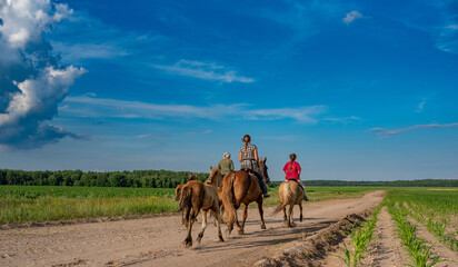 Three village girls are riding horses along a field road. Photographed from behind.