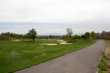 Pictures of concrete roads and green grass