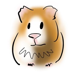 Guinea pig with ginger spots