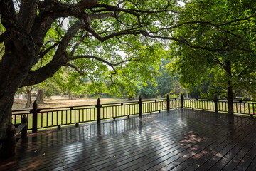 Panoramic view of a green lawn and trees forest  from wooden balcony in classic vintage style.