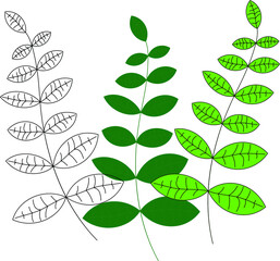 Obraz premium Botanical color set. Branches of trees with different color, branch line, branch with fill, branch with stroke and fill .Natural graphic elements for your design , greeting cards