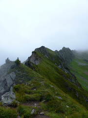 Berlin high path, Zillertal Alps in Tyrol, Austria